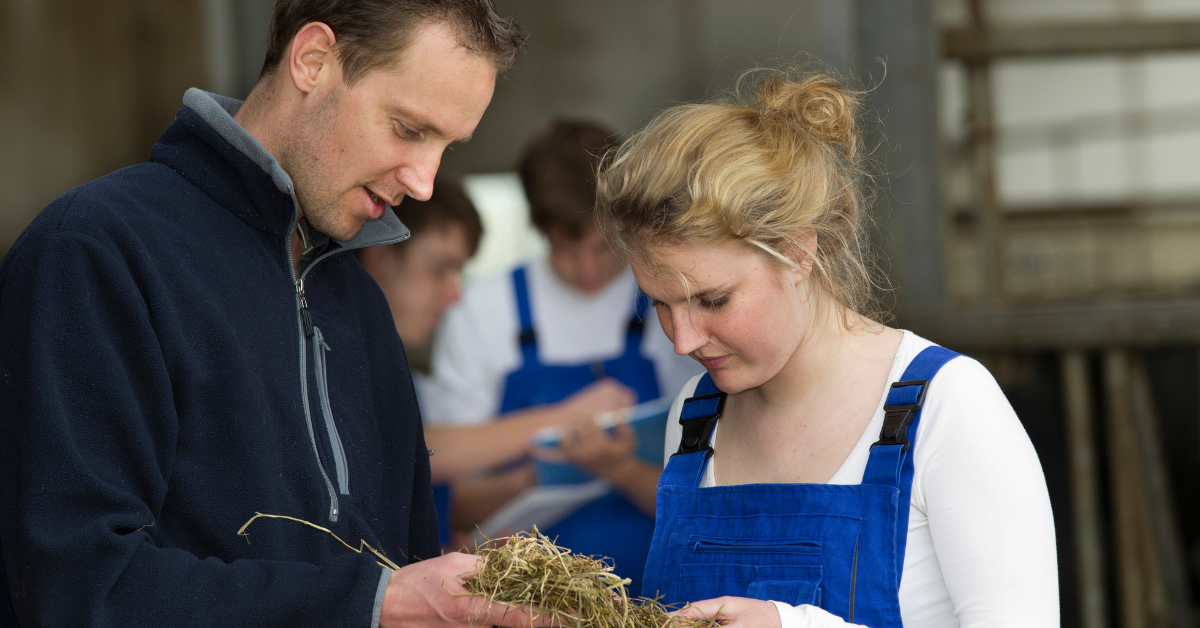 Student and instructor examining hay. Planning an FFA fundraiser
